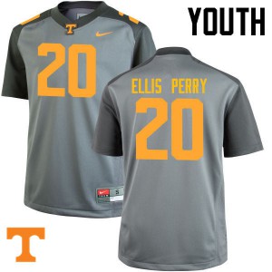 #20 Vincent Ellis Perry Tennessee Volunteers Youth Player Jersey Gray